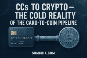 Read more about the article Ccs to Crypto – The Cold Reality of the Card-to-Coin Pipeline