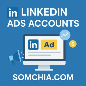 LinkedIn Ads Fraud Accounts – Pre-Verified Business Profiles for B2B Phishing and Brand Impersonation