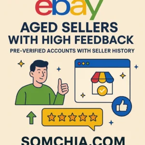 eBay Aged Sellers with High Feedback – Pre-Verified Accounts with Seller History
